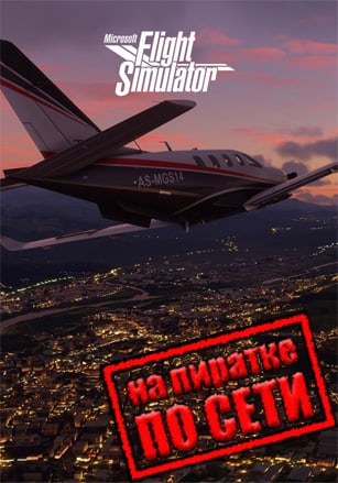 Microsoft Flight Simulator